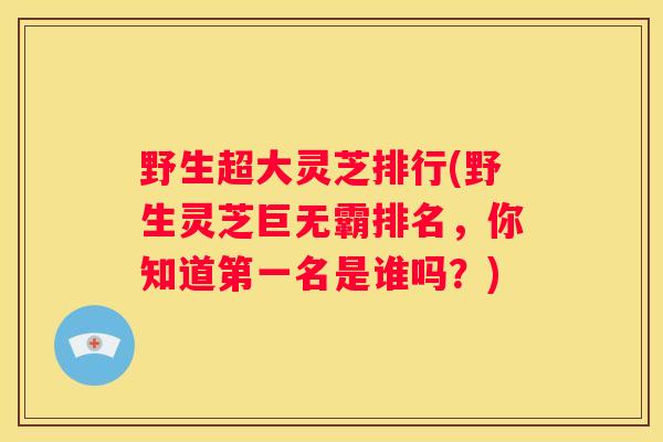 野生超大灵芝排行(野生灵芝巨无霸排名,你知道第一名是谁吗?) 野生超大灵芝排行(野生灵芝巨无霸排名,你知道第一名是谁吗?)
