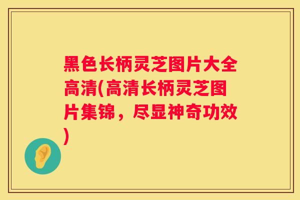 黑色长柄灵芝图片大全高清(高清长柄灵芝图片集锦，尽显神奇功效)