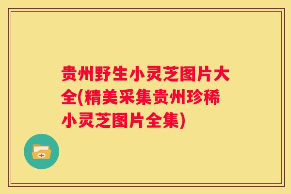 贵州野生小灵芝图片大全(精美采集贵州珍稀小灵芝图片全集)