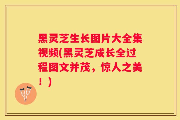 黑灵芝生长图片大全集视频(黑灵芝成长全过程图文并茂，惊人之美！)