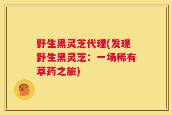 野生黑灵芝代理(发现野生黑灵芝:一场稀有草药之旅) 野生黑灵芝代理(发现野生黑灵芝:一场稀有草药之旅)