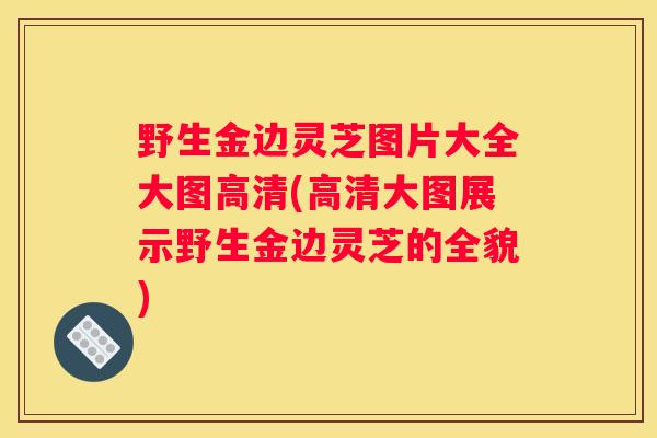 野生金边灵芝图片大全大图高清(高清大图展示野生金边灵芝的全貌)