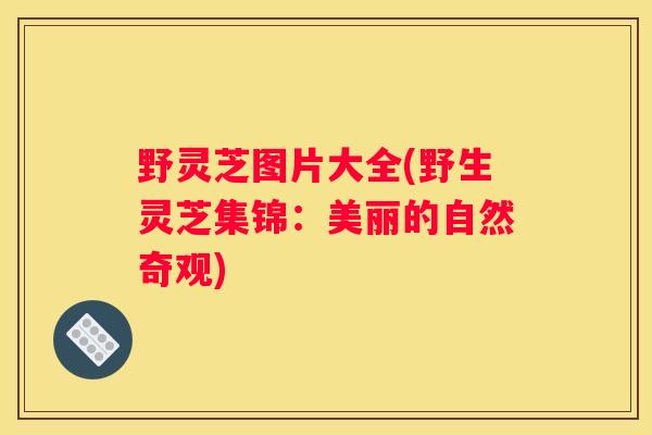 野灵芝图片大全(野生灵芝集锦：美丽的自然奇观)