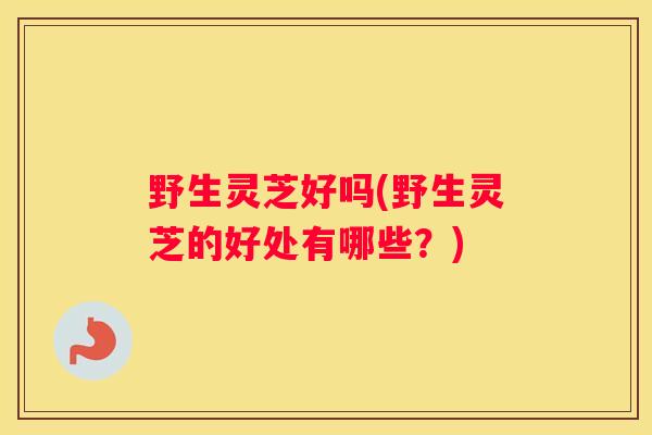 野生灵芝好吗(野生灵芝的好处有哪些？)