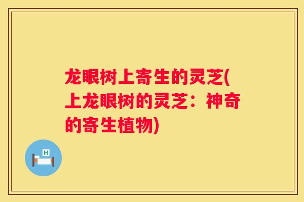 龙眼树上寄生的灵芝(上龙眼树的灵芝：神奇的寄生植物)