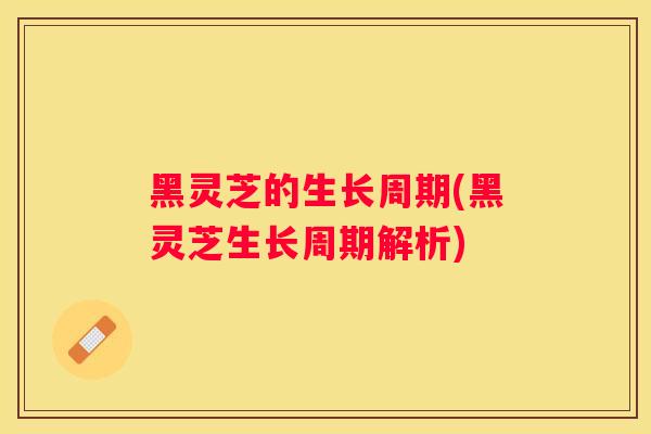 黑灵芝的生长周期(黑灵芝生长周期解析)