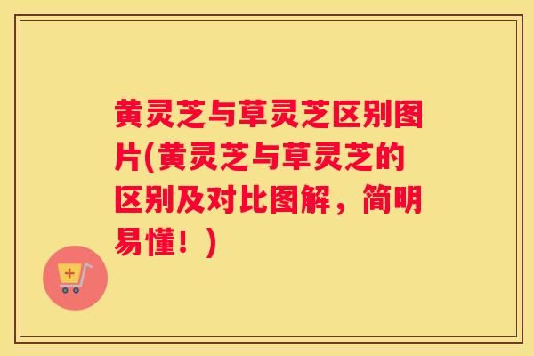 黄灵芝与草灵芝区别图片(黄灵芝与草灵芝的区别及对比图解,简明易懂!) 黄灵芝与草灵芝区别图片(黄灵芝与草灵芝的区别及对比图解,简明易懂!)