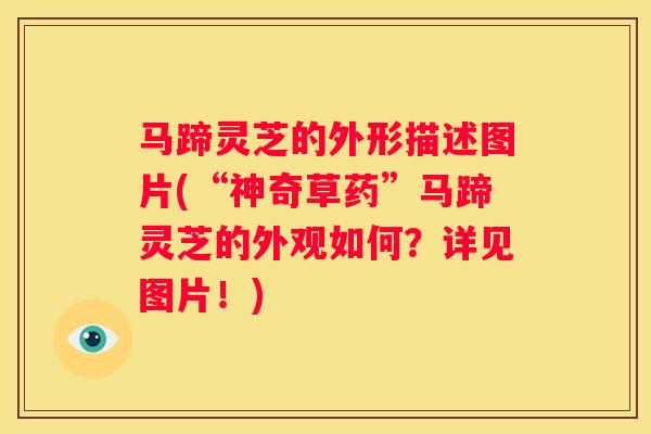 马蹄灵芝的外形描述图片(“神奇草药”马蹄灵芝的外观如何？详见图片！)