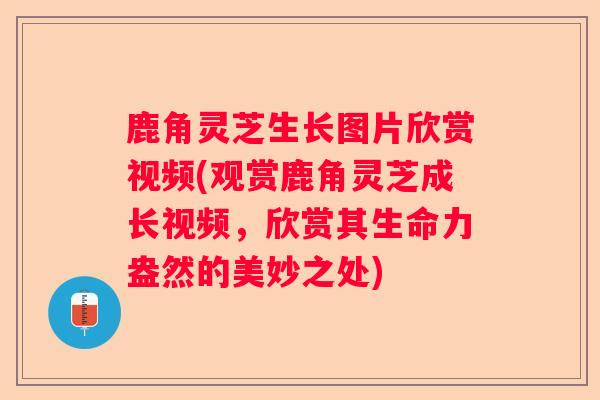 鹿角灵芝生长图片欣赏视频(观赏鹿角灵芝成长视频，欣赏其生命力盎然的美妙之处)