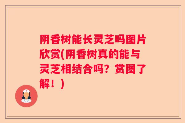 阴香树能长灵芝吗图片欣赏(阴香树真的能与灵芝相结合吗？赏图了解！)