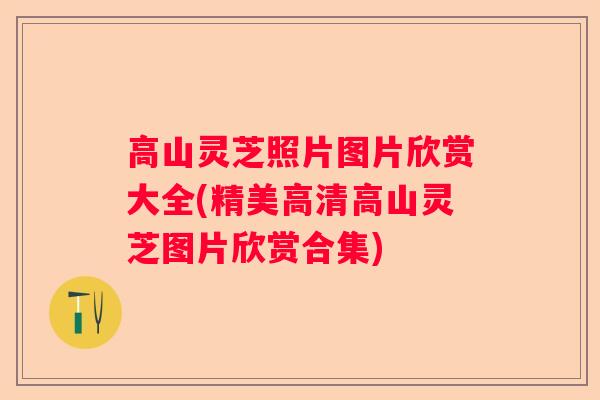高山灵芝照片图片欣赏大全(精美高清高山灵芝图片欣赏合集)