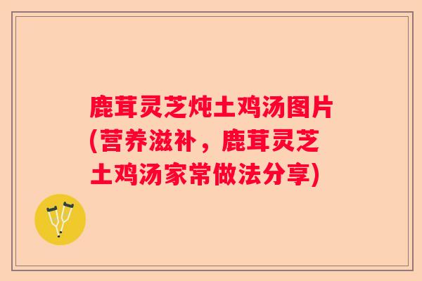 鹿茸灵芝炖土鸡汤图片(营养滋补，鹿茸灵芝土鸡汤家常做法分享)