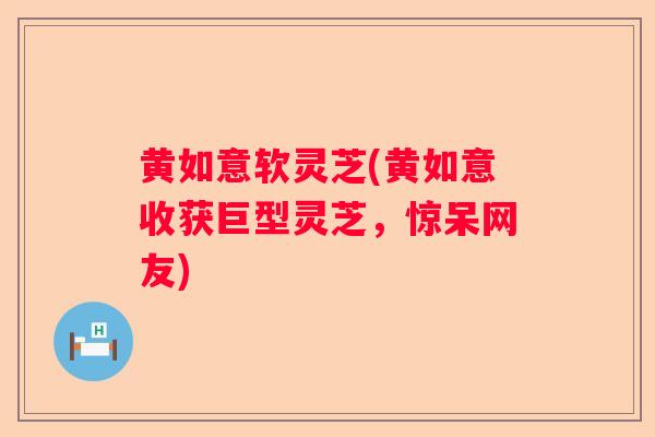 黄如意软灵芝(黄如意收获巨型灵芝,惊呆网友) 黄如意软灵芝(黄如意收获巨型灵芝,惊呆网友)