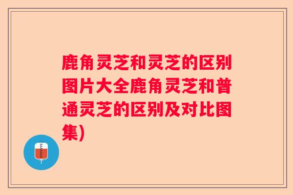 鹿角灵芝和灵芝的区别图片大全鹿角灵芝和普通灵芝的区别及对比图集)