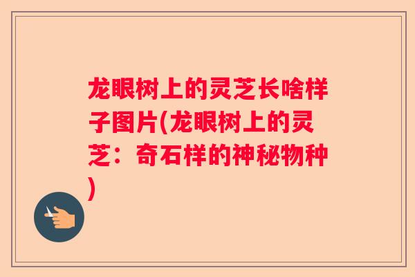 龙眼树上的灵芝长啥样子图片(龙眼树上的灵芝：奇石样的神秘物种)