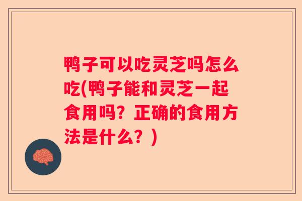 鸭子可以吃灵芝吗怎么吃(鸭子能和灵芝一起食用吗？正确的食用方法是什么？)