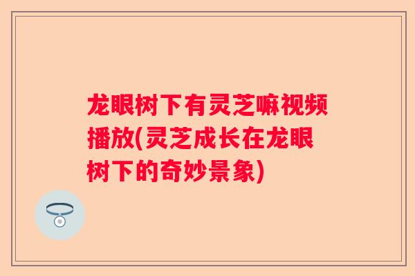 龙眼树下有灵芝嘛视频播放(灵芝成长在龙眼树下的奇妙景象)