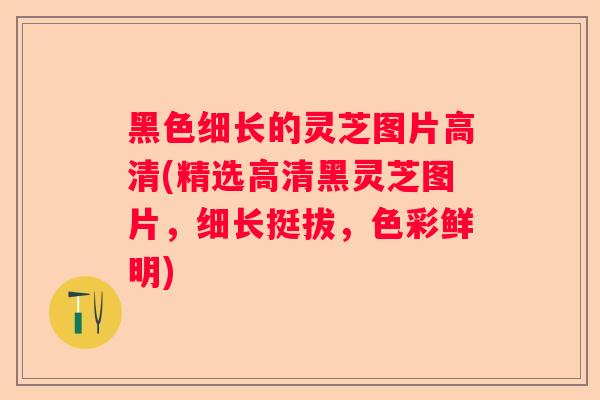 黑色细长的灵芝图片高清(精选高清黑灵芝图片，细长挺拔，色彩鲜明)