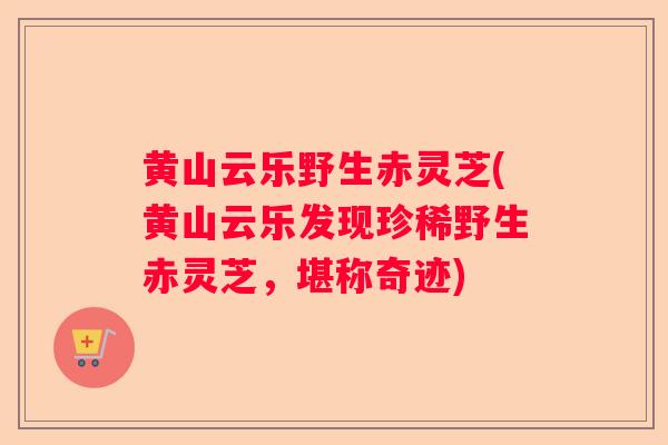 黄山云乐野生赤灵芝(黄山云乐发现珍稀野生赤灵芝，堪称奇迹)