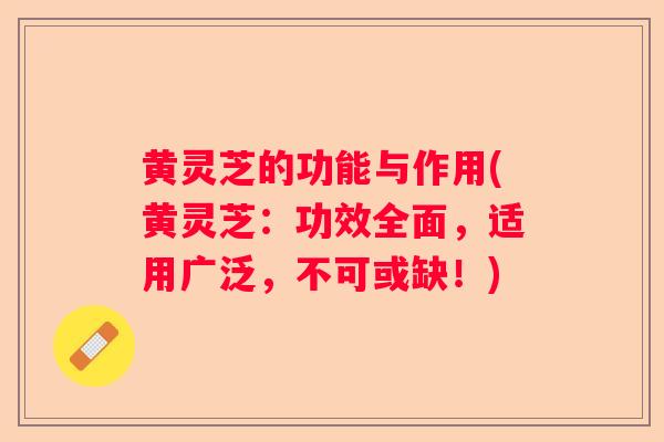 黄灵芝的功能与作用(黄灵芝：功效全面，适用广泛，不可或缺！)
