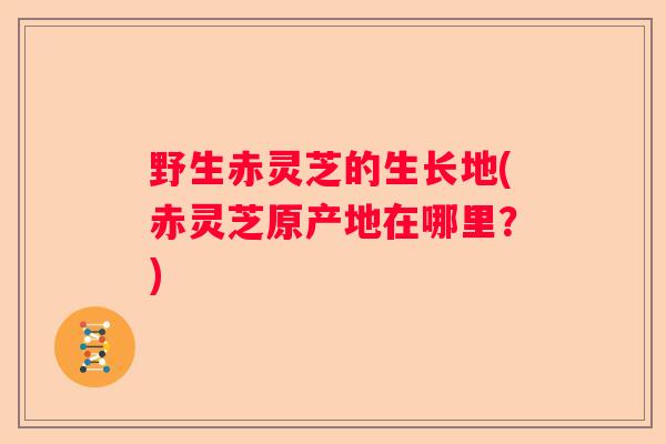 野生赤灵芝的生长地(赤灵芝原产地在哪里？)
