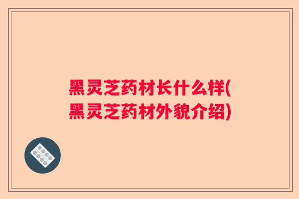 黑灵芝药材长什么样(黑灵芝药材外貌介绍)
