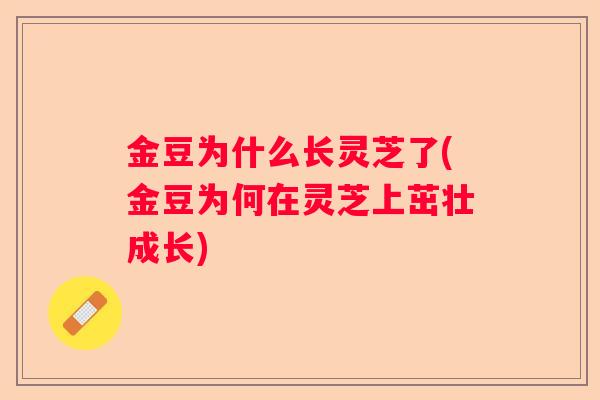 金豆为什么长灵芝了(金豆为何在灵芝上茁壮成长)