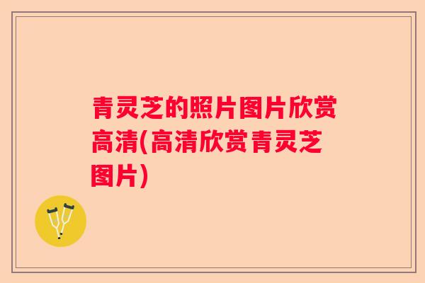 青灵芝的照片图片欣赏高清(高清欣赏青灵芝图片)