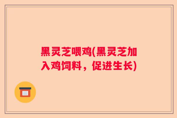 黑灵芝喂鸡(黑灵芝加入鸡饲料，促进生长)