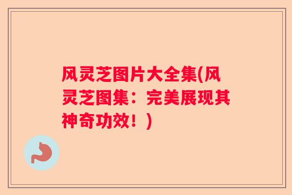 风灵芝图片大全集(风灵芝图集：完美展现其神奇功效！)