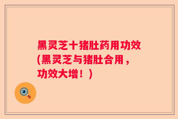 黑灵芝十猪肚药用功效(黑灵芝与猪肚合用，功效大增！)