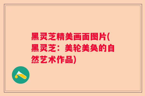 黑灵芝精美画面图片(黑灵芝:美轮美奂的自然艺术作品) 黑灵芝精美画面图片(黑灵芝:美轮美奂的自然艺术作品)