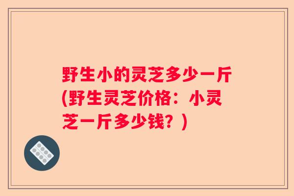 野生小的灵芝多少一斤(野生灵芝价格：小灵芝一斤多少钱？)