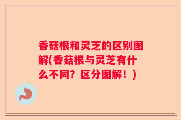 香菇根和灵芝的区别图解(香菇根与灵芝有什么不同？区分图解！)