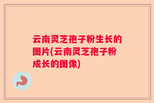 云南灵芝孢子粉生长的图片(云南灵芝孢子粉成长的图像)
