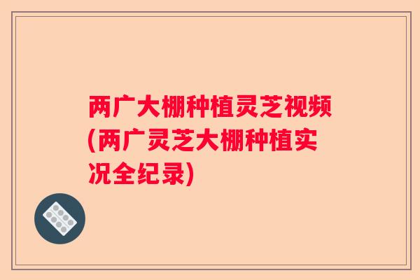 两广大棚种植灵芝视频(两广灵芝大棚种植实况全纪录) 两广大棚种植灵芝视频(两广灵芝大棚种植实况全纪录)