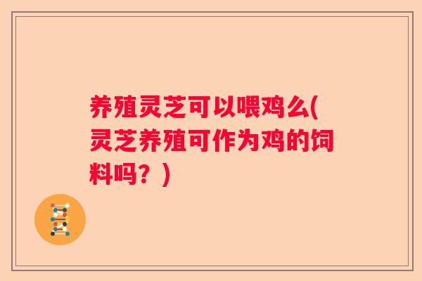 养殖灵芝可以喂鸡么(灵芝养殖可作为鸡的饲料吗？)
