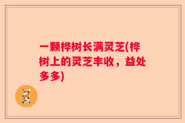 一颗桦树长满灵芝(桦树上的灵芝丰收，益处多多)