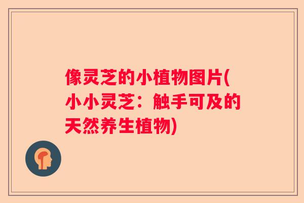 像灵芝的小植物图片(小小灵芝:触手可及的天然养生植物) 像灵芝的小植物图片(小小灵芝:触手可及的天然养生植物)
