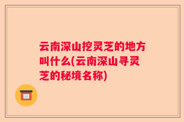 云南深山挖灵芝的地方叫什么(云南深山寻灵芝的秘境名称) 云南深山挖灵芝的地方叫什么(云南深山寻灵芝的秘境名称)