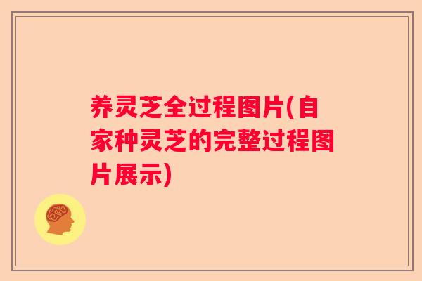 养灵芝全过程图片(自家种灵芝的完整过程图片展示)
