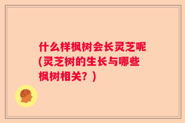 什么样枫树会长灵芝呢(灵芝树的生长与哪些枫树相关？)