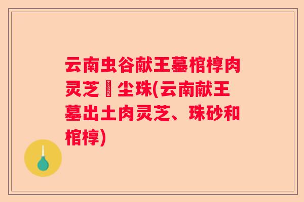 云南虫谷献王墓棺椁肉灵芝雮尘珠(云南献王墓出土肉灵芝、珠砂和棺椁)