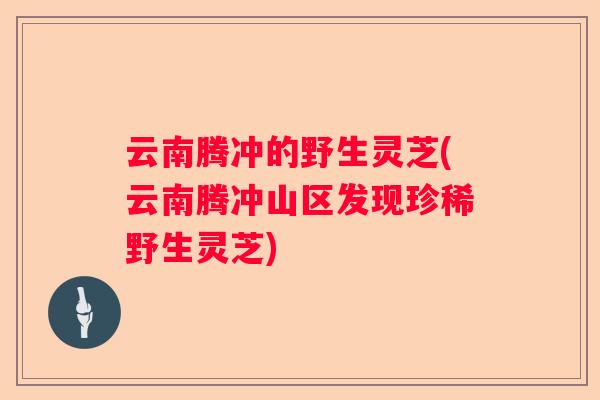 云南腾冲的野生灵芝(云南腾冲山区发现珍稀野生灵芝)