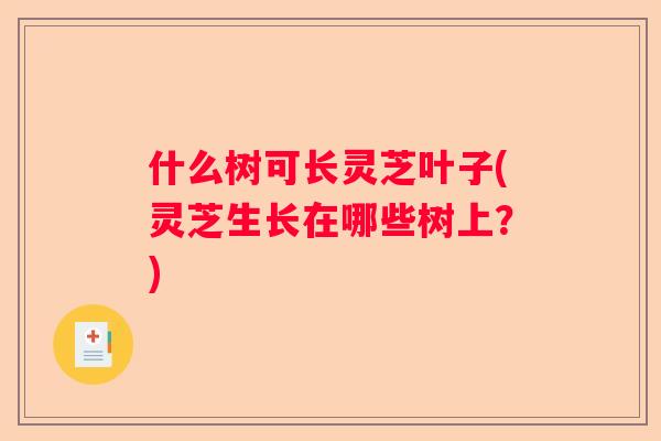 什么树可长灵芝叶子(灵芝生长在哪些树上？)