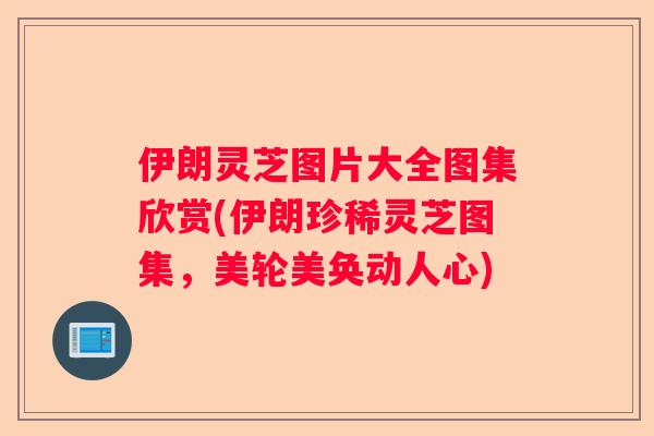 伊朗灵芝图片大全图集欣赏(伊朗珍稀灵芝图集，美轮美奂动人心)