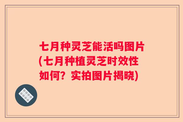 七月种灵芝能活吗图片(七月种植灵芝时效性如何？实拍图片揭晓)