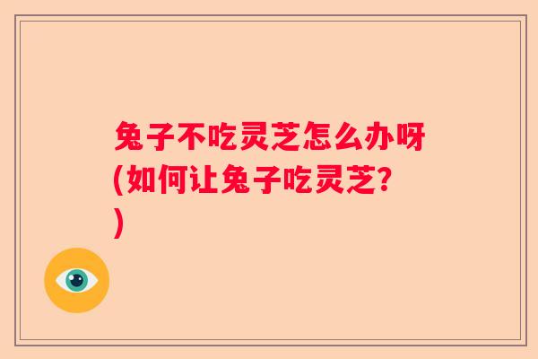 兔子不吃灵芝怎么办呀(如何让兔子吃灵芝？)