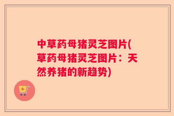 中草药母猪灵芝图片(草药母猪灵芝图片:天然养猪的新趋势) 中草药母猪灵芝图片(草药母猪灵芝图片:天然养猪的新趋势)