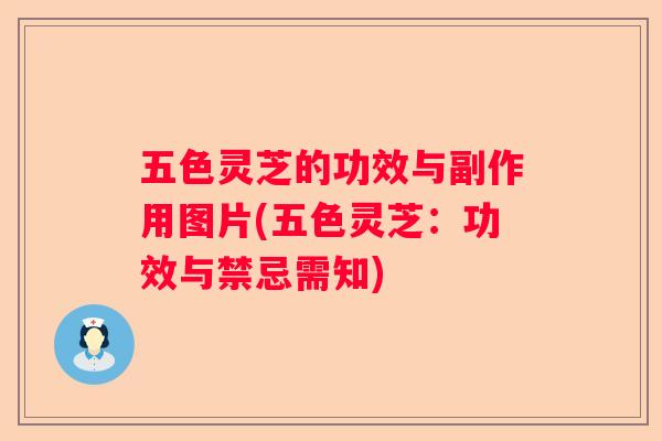五色灵芝的功效与副作用图片(五色灵芝：功效与禁忌需知)